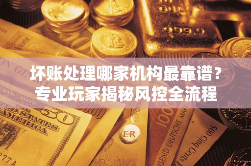 武汉坏账处理哪家机构最靠谱？专业玩家揭秘风控全流程