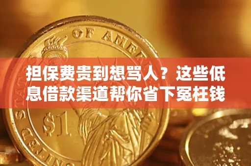 武汉担保费贵到想骂人？这些低息借款渠道帮你省下冤枉钱