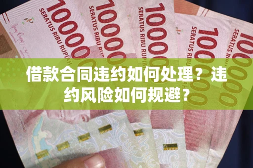 武汉借款合同违约如何处理？违约风险如何规避？