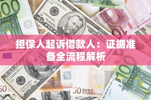 武汉担保人起诉借款人：证据准备全流程解析