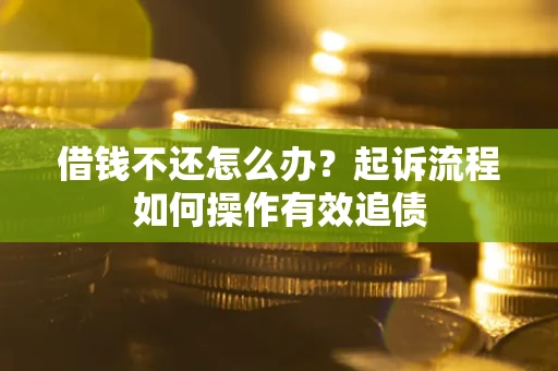 武汉借钱不还怎么办？起诉流程如何操作有效追债