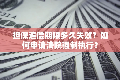 武汉担保追偿期限多久失效？如何申请法院强制执行？