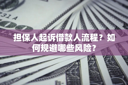 武汉担保人起诉借款人流程？如何规避哪些风险？