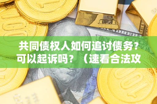 武汉共同债权人如何追讨债务？可以起诉吗？（速看合法攻略）