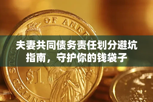 武汉夫妻共同债务责任划分避坑指南，守护你的钱袋子