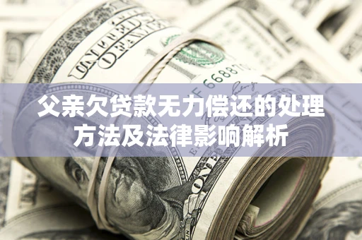 武汉父亲欠贷款无力偿还的处理方法及法律影响解析